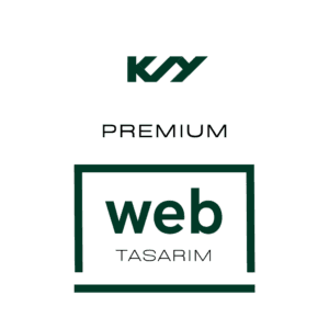 Denizli web tasarım